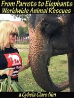 Watch From Parrots to Elephants: Worldwide Animal Rescues 123movies