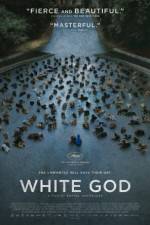 Watch Fehér isten 123movies