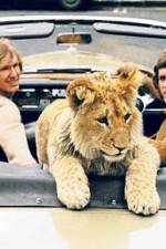Watch The Lion Cub from Harrods 123movies