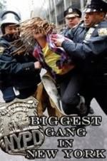 NYPD: Biggest Gang in New York?