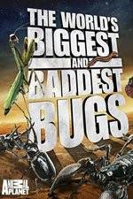 Worlds Biggest and Baddest Bugs