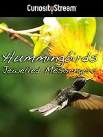 Hummingbirds Jewelled Messengers