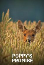 Watch Poppy\'s Promise: Secret Life in a Cornfield 123movies