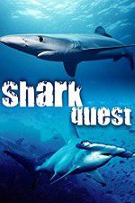 Shark Quest