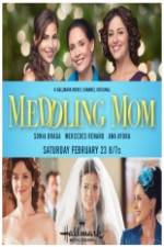 Watch Meddling Mom 123movies