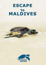 Watch Escape to Maldives 123movies