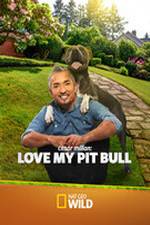 Cesar Millan: Love My Pit Bull