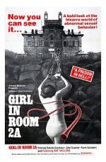 Watch The Girl in Room 2A 123movies