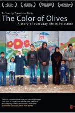 Watch The Color of Olives 123movies