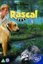 Rascal