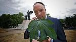 Watch Fig Leaf: The Biggest Cover-Up in History 123movies