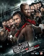 WWE Survivor Series WarGames (TV Special 2024)