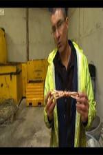 Watch The Hunt for Great Britains Metal Thieves 123movies