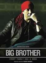 Watch Big Brother 123movies