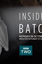 Watch Inside the Bat Cave 123movies
