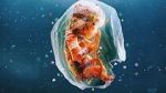 Watch Plastic People 123movies