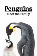 Watch Penguins: Meet the Family 123movies