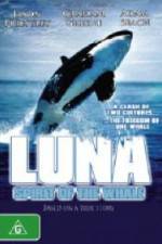 Luna: Spirit of the Whale