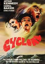 Cyclone