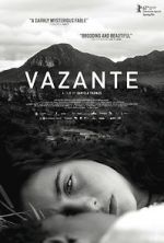 Vazante