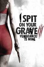 I Spit on Your Grave 3