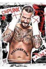 WWE CM Punk - Best in the World