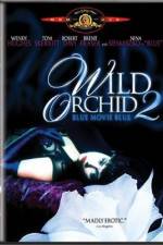 Wild Orchid II Two Shades of Blue