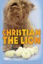 Christian the lion