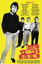 Watch I Was a Teenage Sex Pistol 123movies