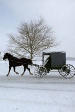 Leaving Amish Paradise