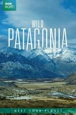 Wild Patagonia