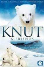 Knut and Friends