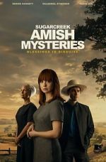 Watch Sugarcreek Amish Mysteries: Blessings in Disguise 123movies