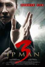 Yip Man 3