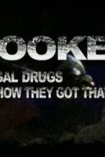 Hooked Illegal Drugs & How They Got That Way - Opium Morphine and Heroin