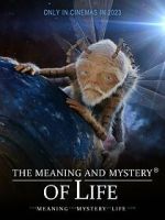 Watch The Meaning and Mystery of Life 123movies