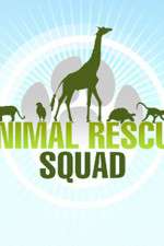 Animal Rescue Squad