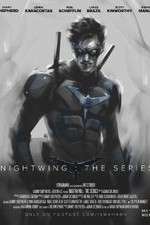 Nightwing: The Series