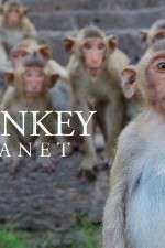 Monkey Planet