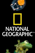 Nat Geo Amazing!