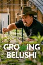 Growing Belushi