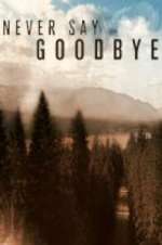 Never Say Goodbye