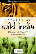 Secrets of Wild India