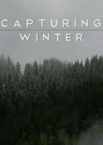 Capturing Winter