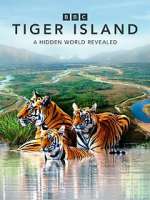 Watch Tiger Island 123movies