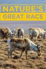 Nature's Great Race