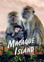 Macaque Island