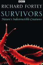 Survivors: Nature's Indestructible Creatures