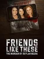 Watch Friends Like These: The Murder of Skylar Neese 123movies