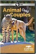 Animal Odd Couples